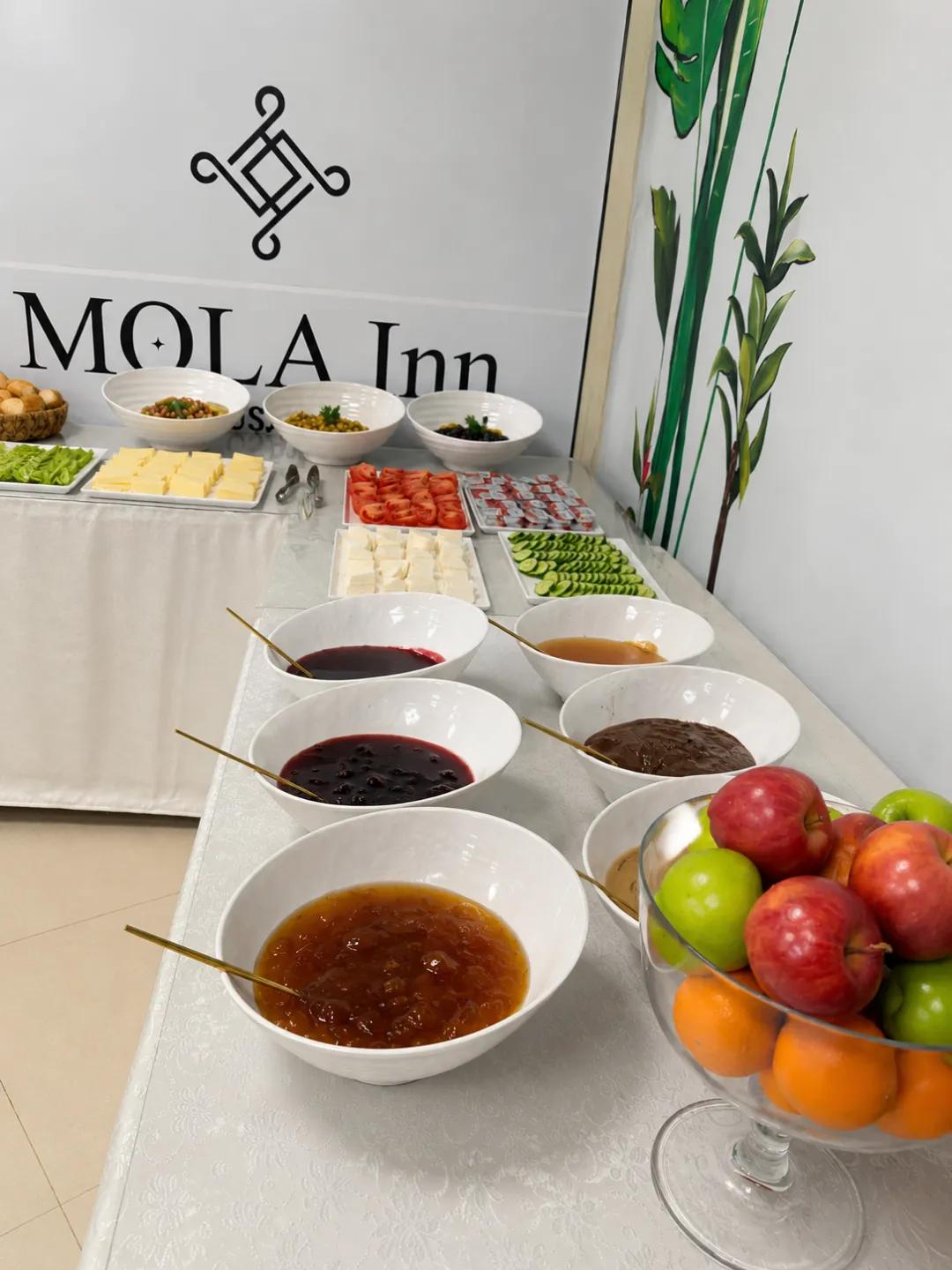 Mola Inn Uşak — 6