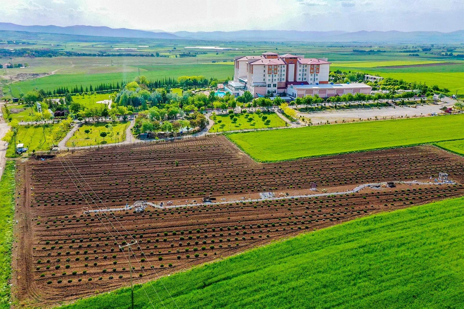Sandıklı Thermal Park Resort Spa & Convention Center — 6