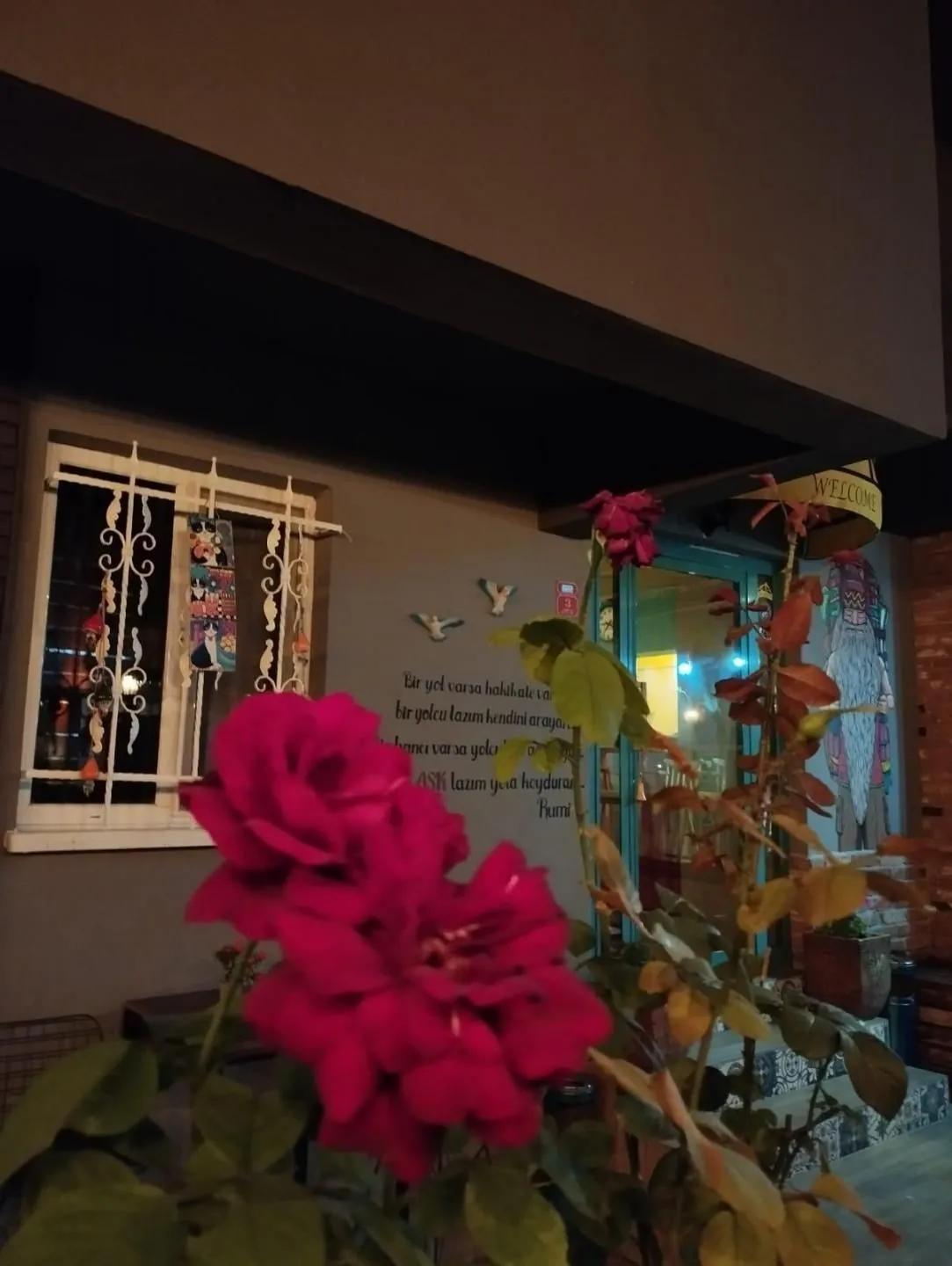 Rota Gezgin — 6