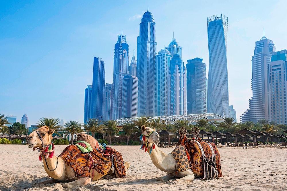 Al Habtoor Grand Resort, Autograph Collection® — 1