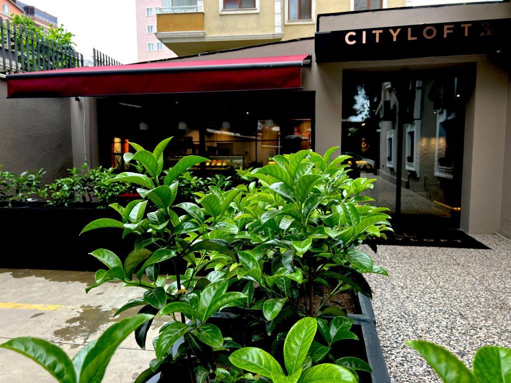 Cityloft 36 — 1