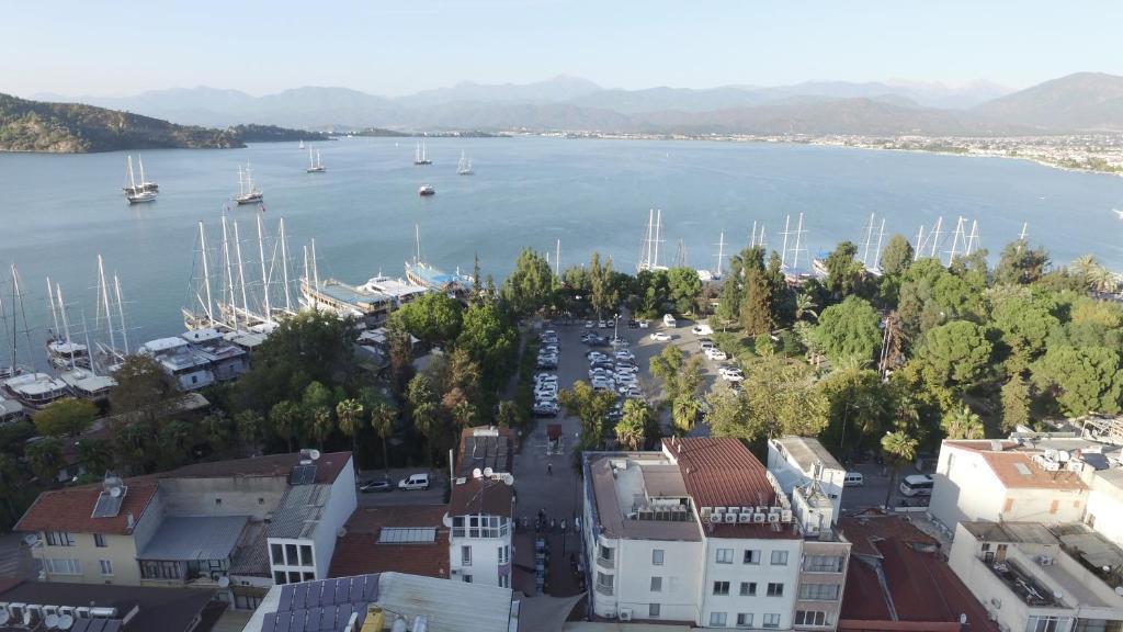 Feryıl Liman