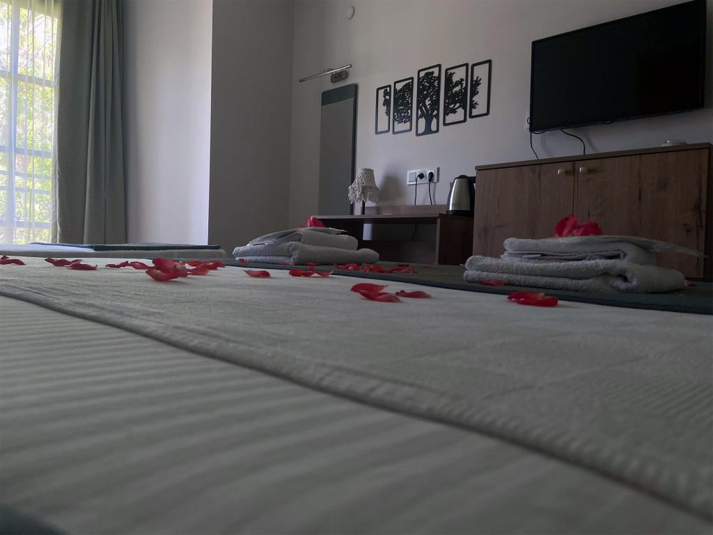 Hotel Palme Dalyan — 5