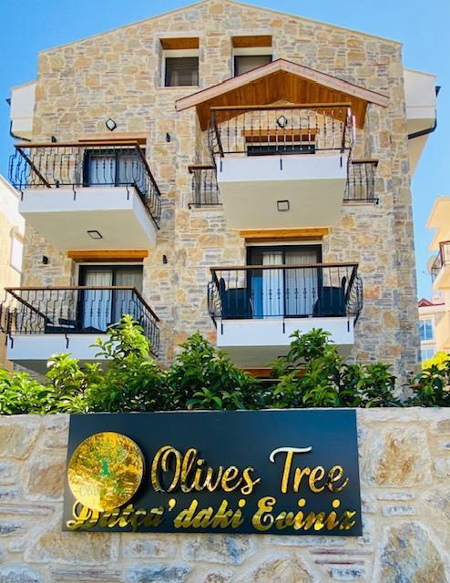 Datça Olives Tree