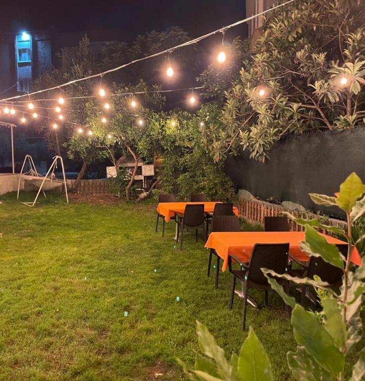 Tayfun Hotel — 7