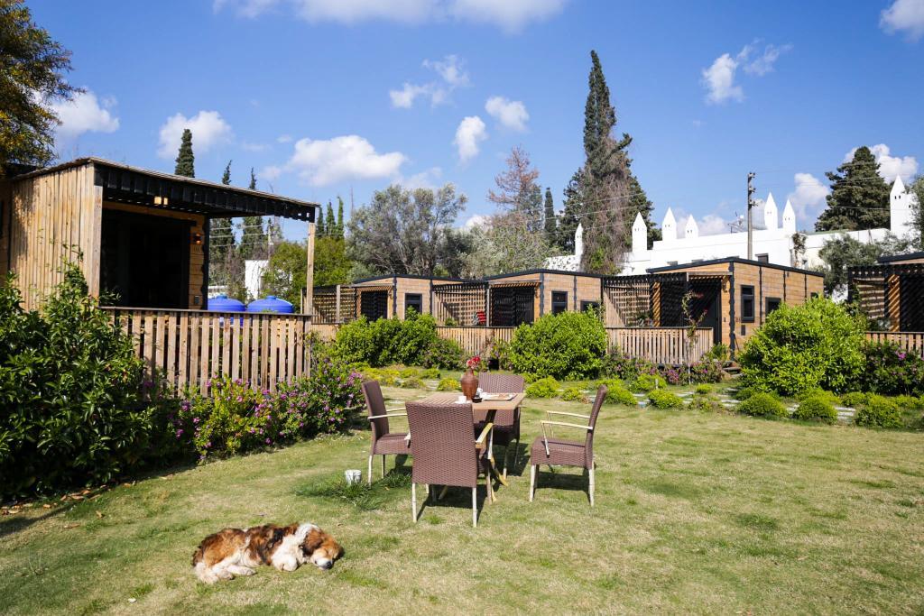 Bitez Tiny House — 1