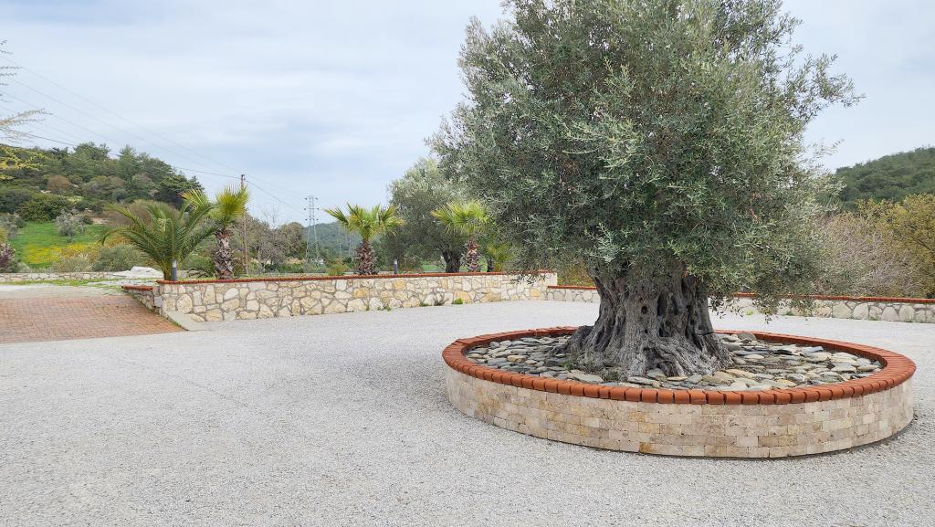 Naturla Çiftlik Otel Urla — 9