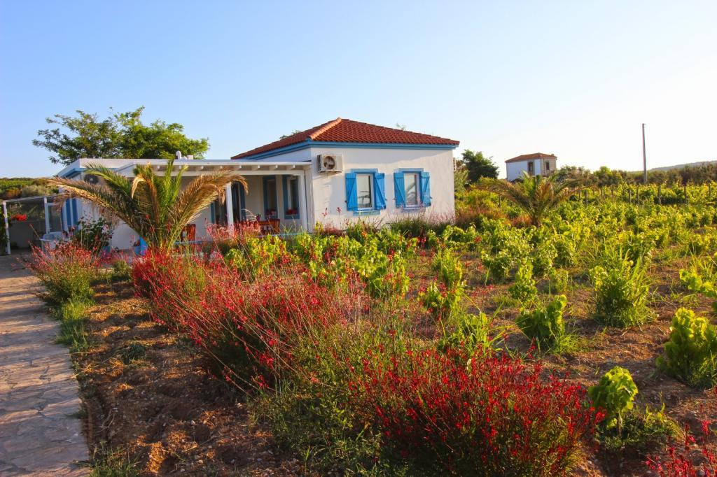 Ilgın Bağ Evi — 1