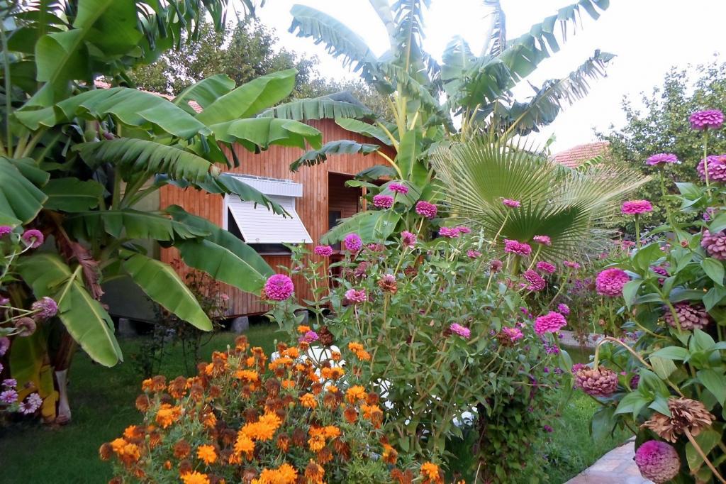 Estelar Bungalows — 3