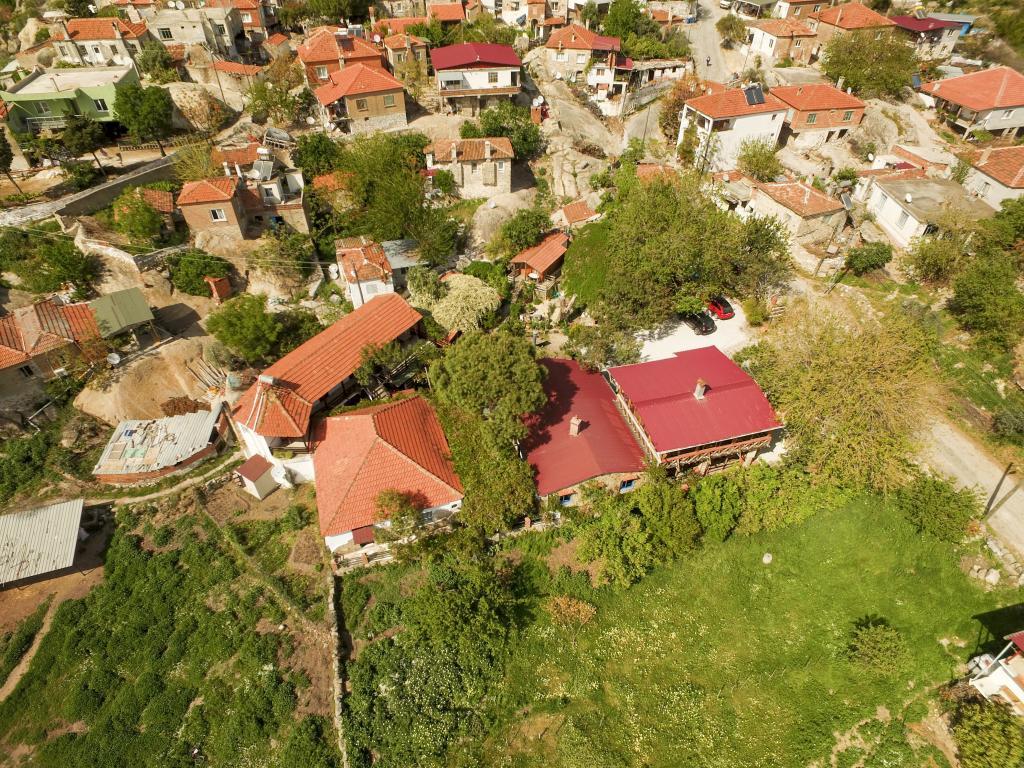 Agora Pansiyon — 1