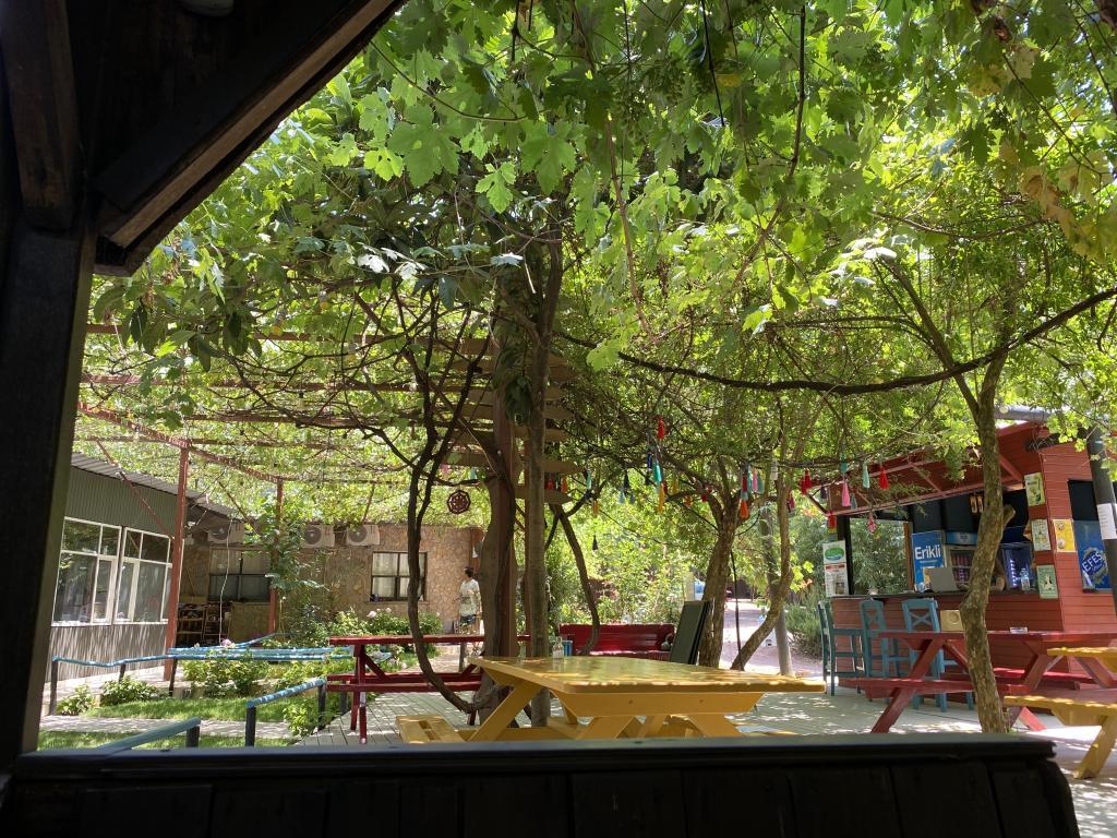 Olympos Çamlık Pansiyon +16 — 9