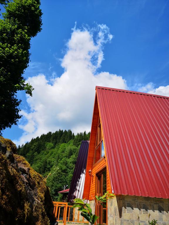 Kotit Ayder — 7
