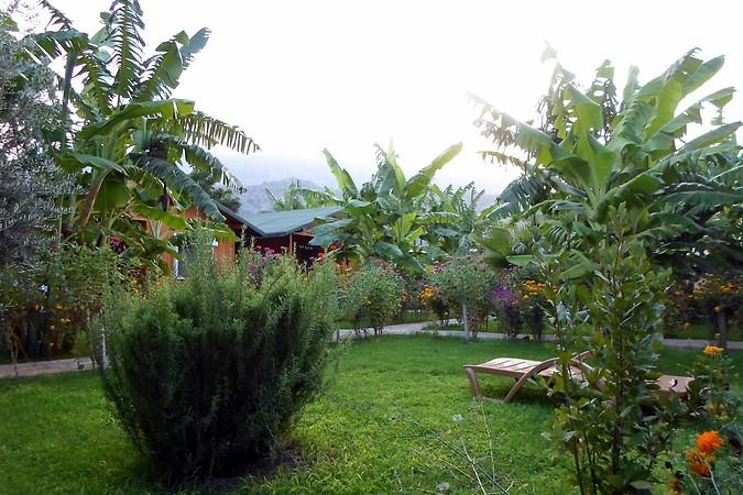 Estelar Bungalows — 5