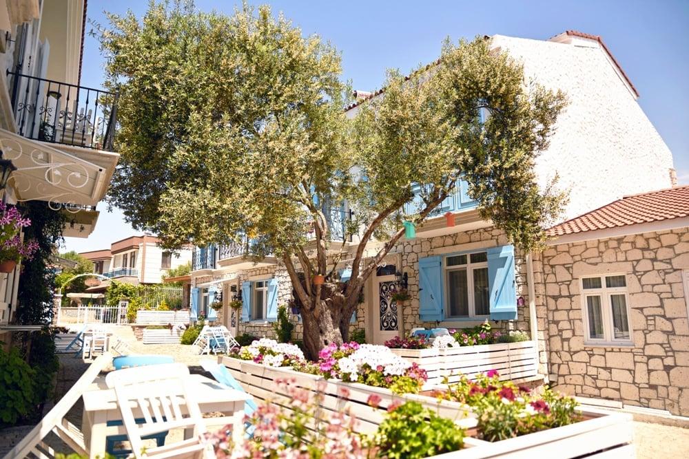 Zeytin Arası  Taş Evler — 5