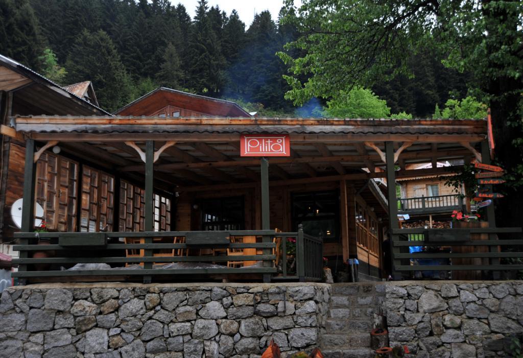 Pilita Bungalov — 1