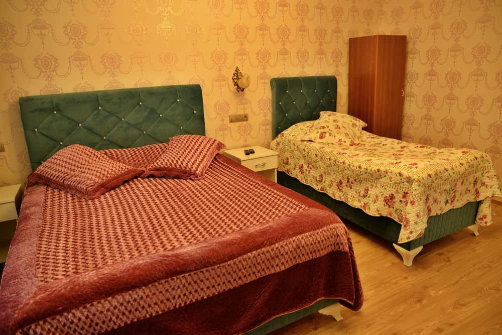 Dedeli Deluxe Hotel — 6
