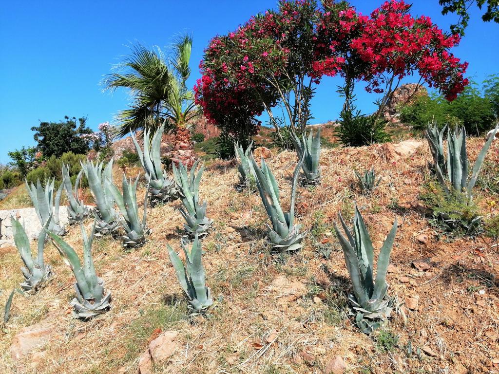Eco Farm Boutique Otel — 10