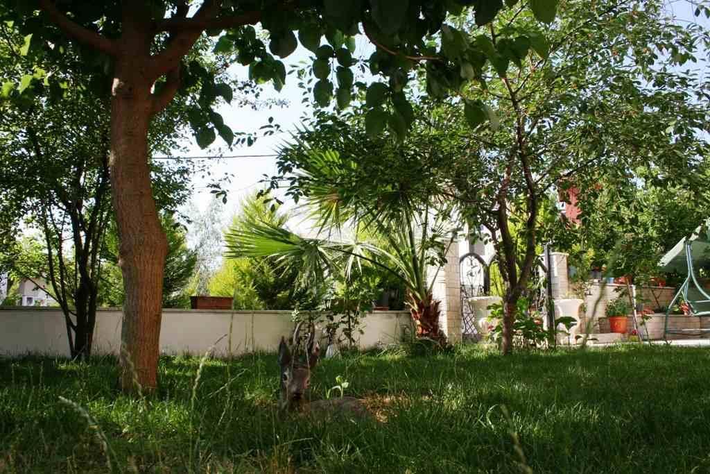 Kiraz Apart Avşa — 6