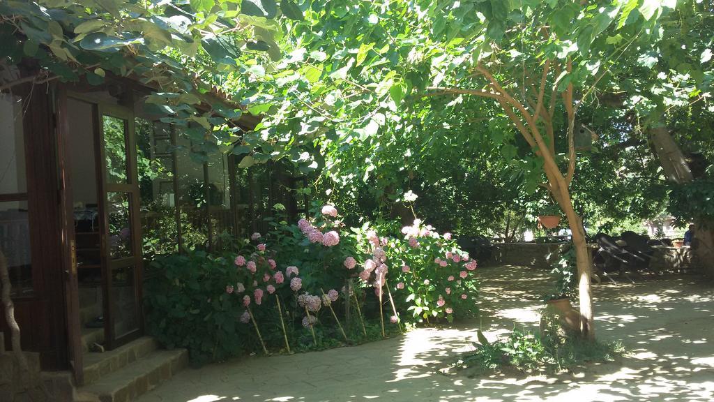 Birgi Çınaraltı Pansiyon — 4