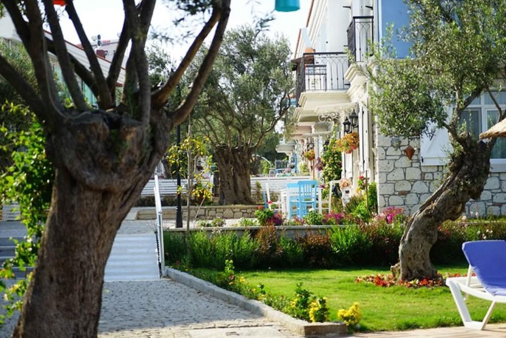 Zeytin Arası  Taş Evler — 8