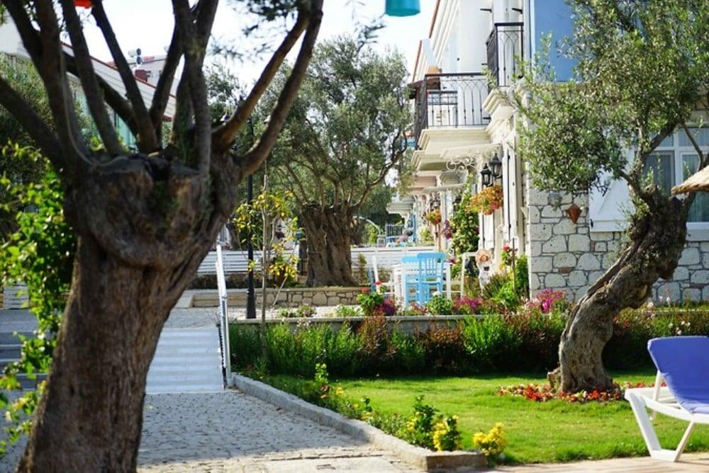 Zeytin Arası Taş Evler — 8