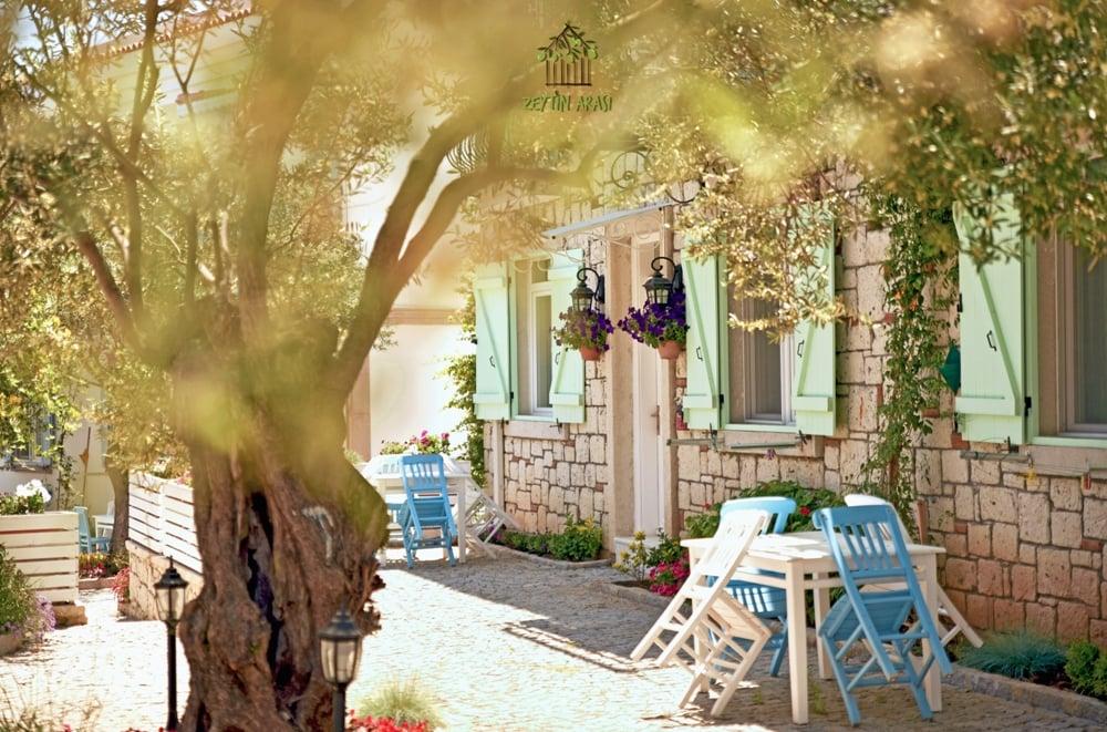Zeytin Arası  Taş Evler — 4