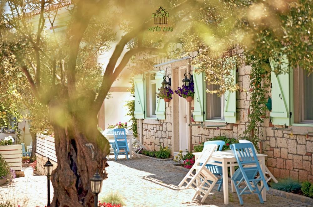 Zeytin Arası Taş Evler — 4