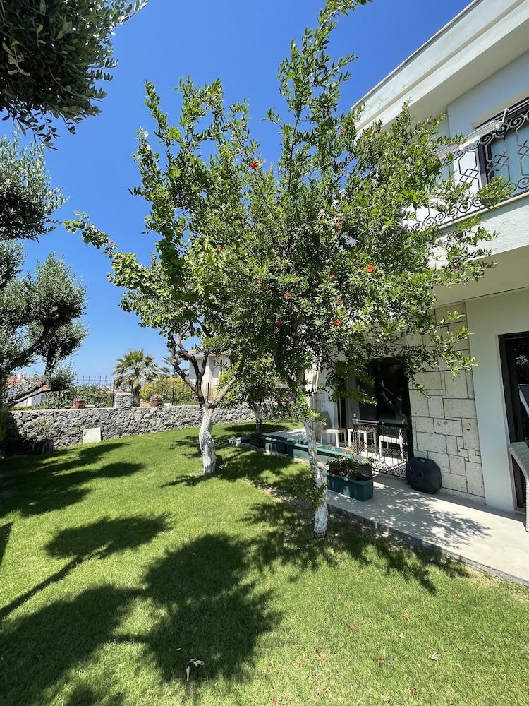 Dalyan Risus Suite — 10
