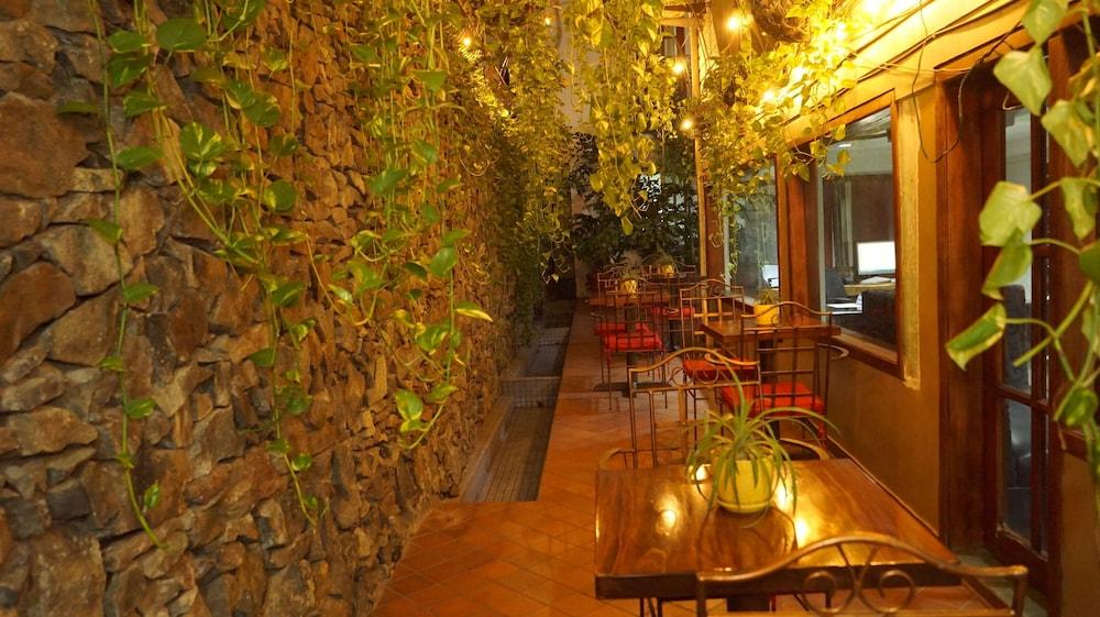 Hotel Casa del Arbol 1174048 — 1