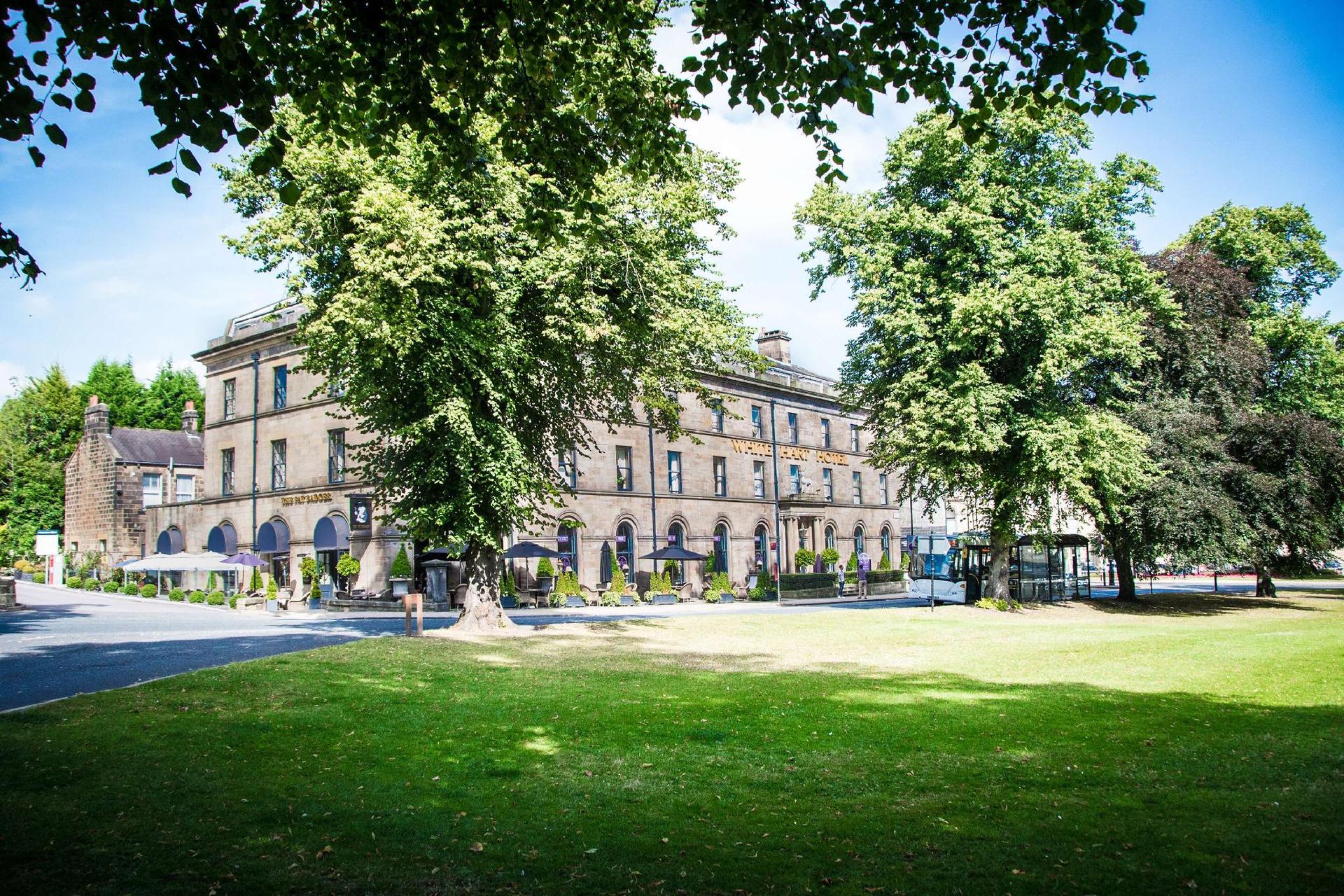 White Hart Hotel & Apartments — 8