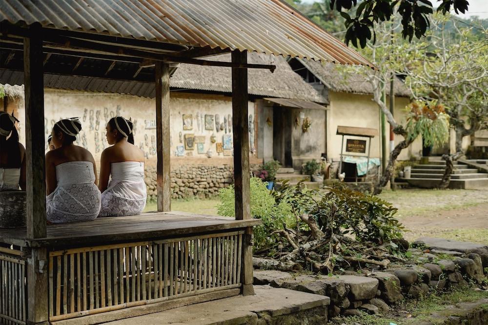 Alila Manggis — 10