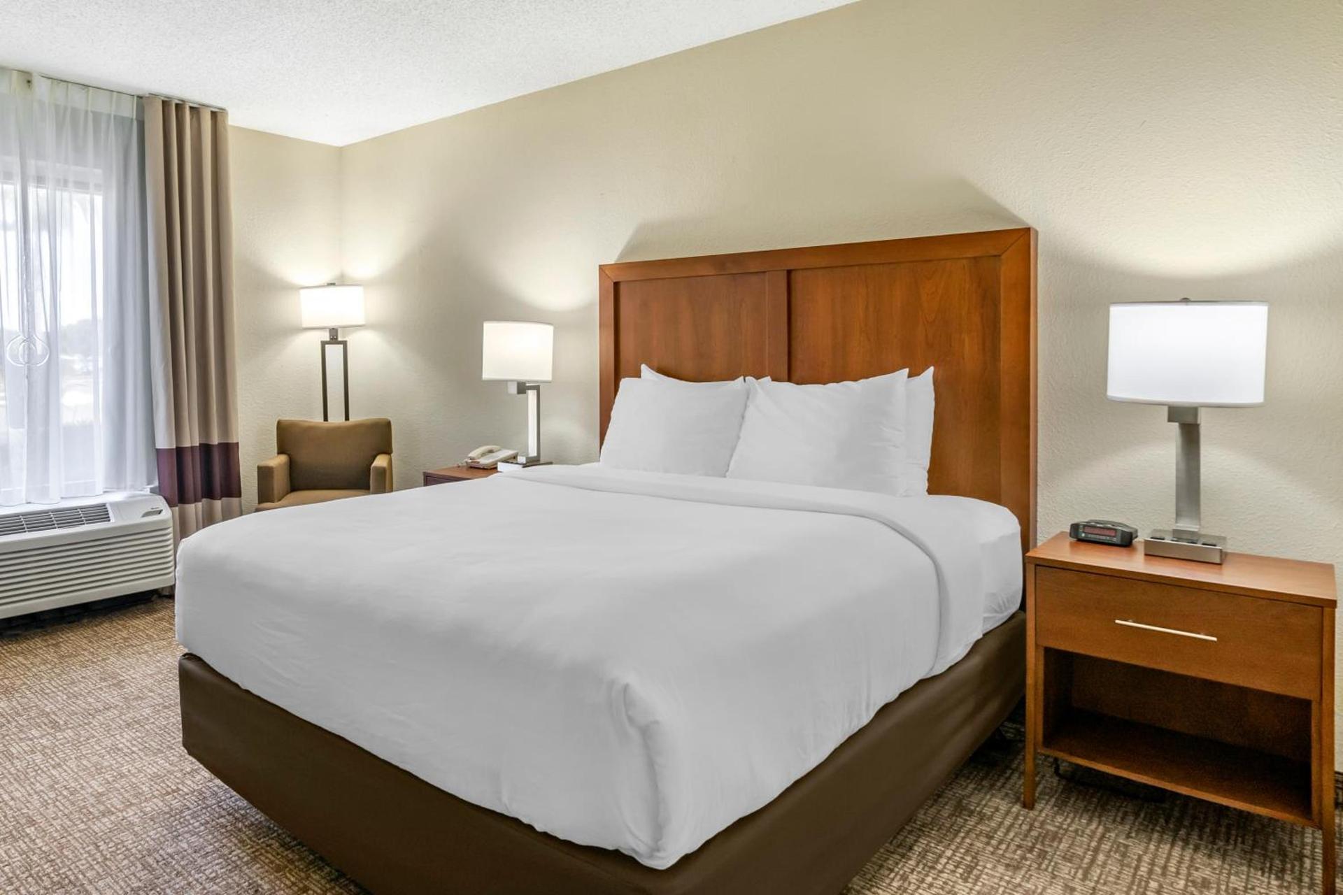Comfort Inn & Suites St. Pete - Clearwater International Airport — 8