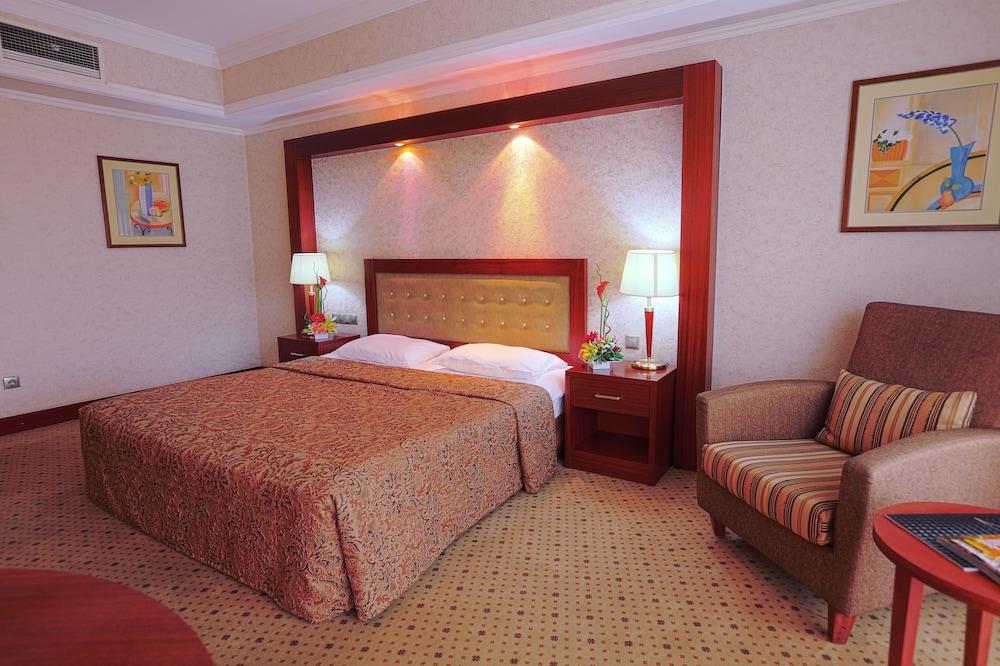 Diplomat Hotel & Business Center — 10