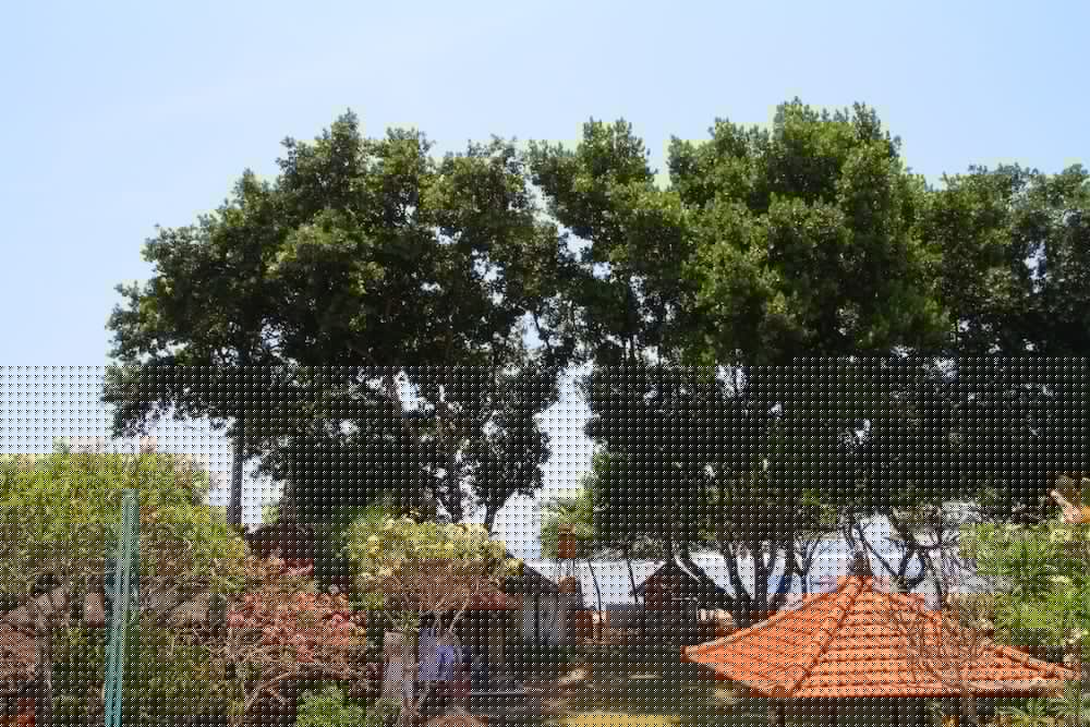 Inna Sindhu Beach Hotel and Resort 71804 — 1