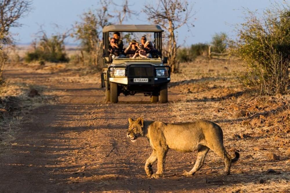 MUCHENJE SAFARI LODGE(T) — 7