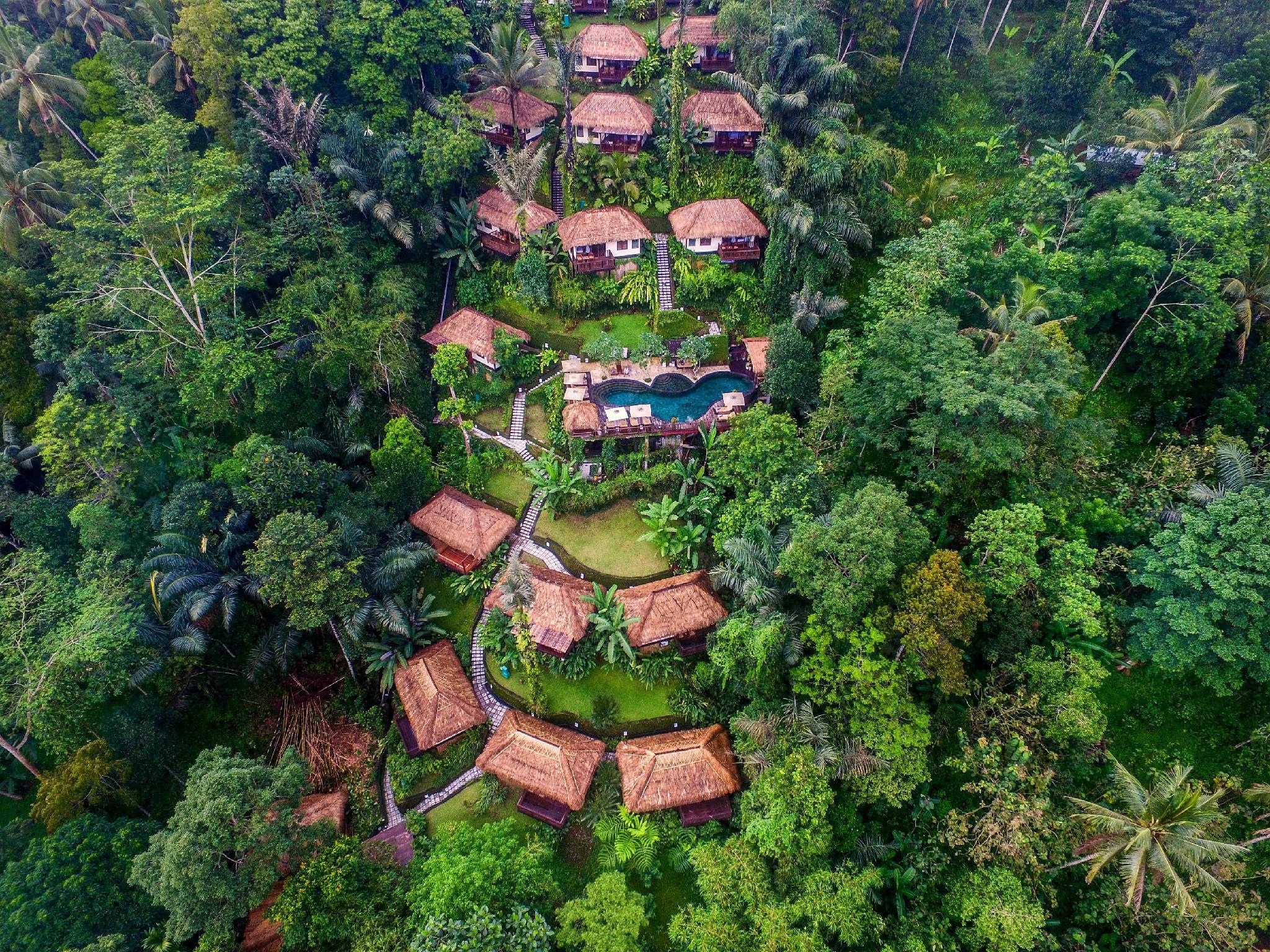 Nandini Jungle by Hanging Gardens 62664 — 10