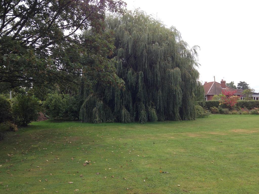 Primrose Lodge B&amp;B — 9