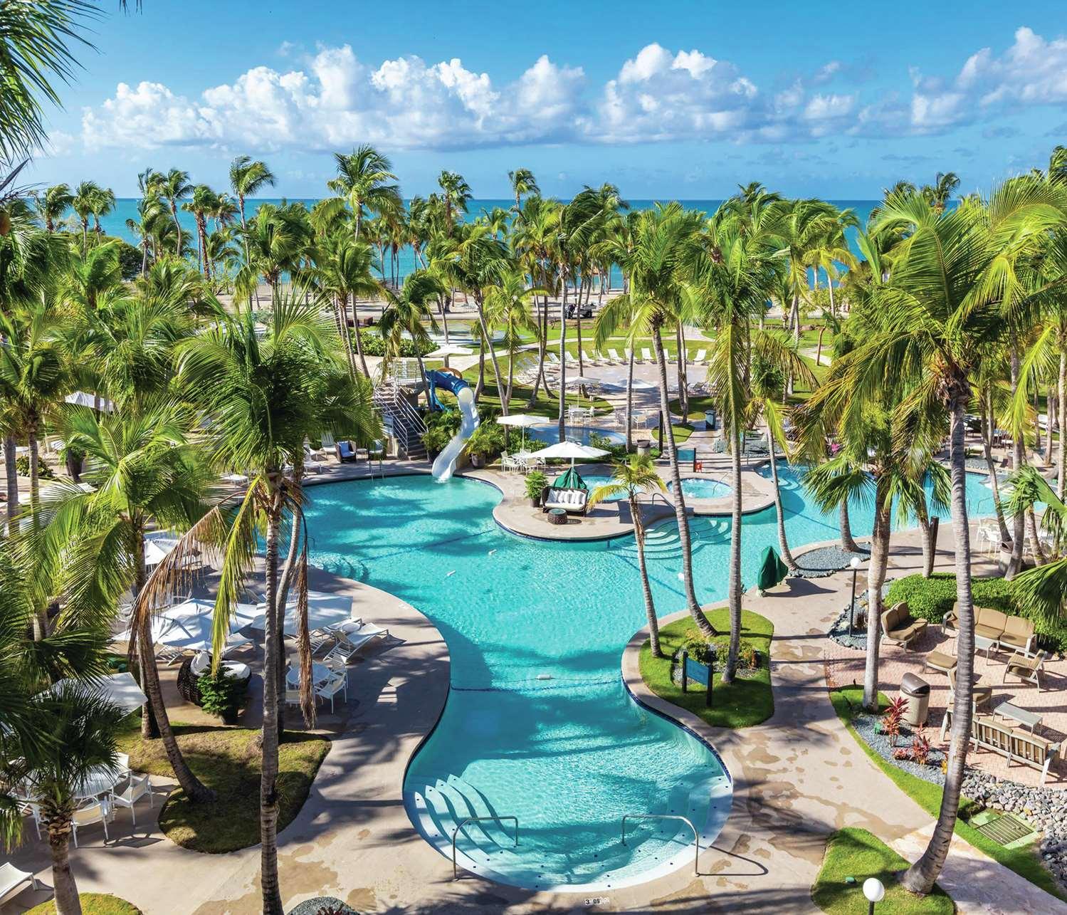 Hilton Ponce Golf & Casino Resort — 1