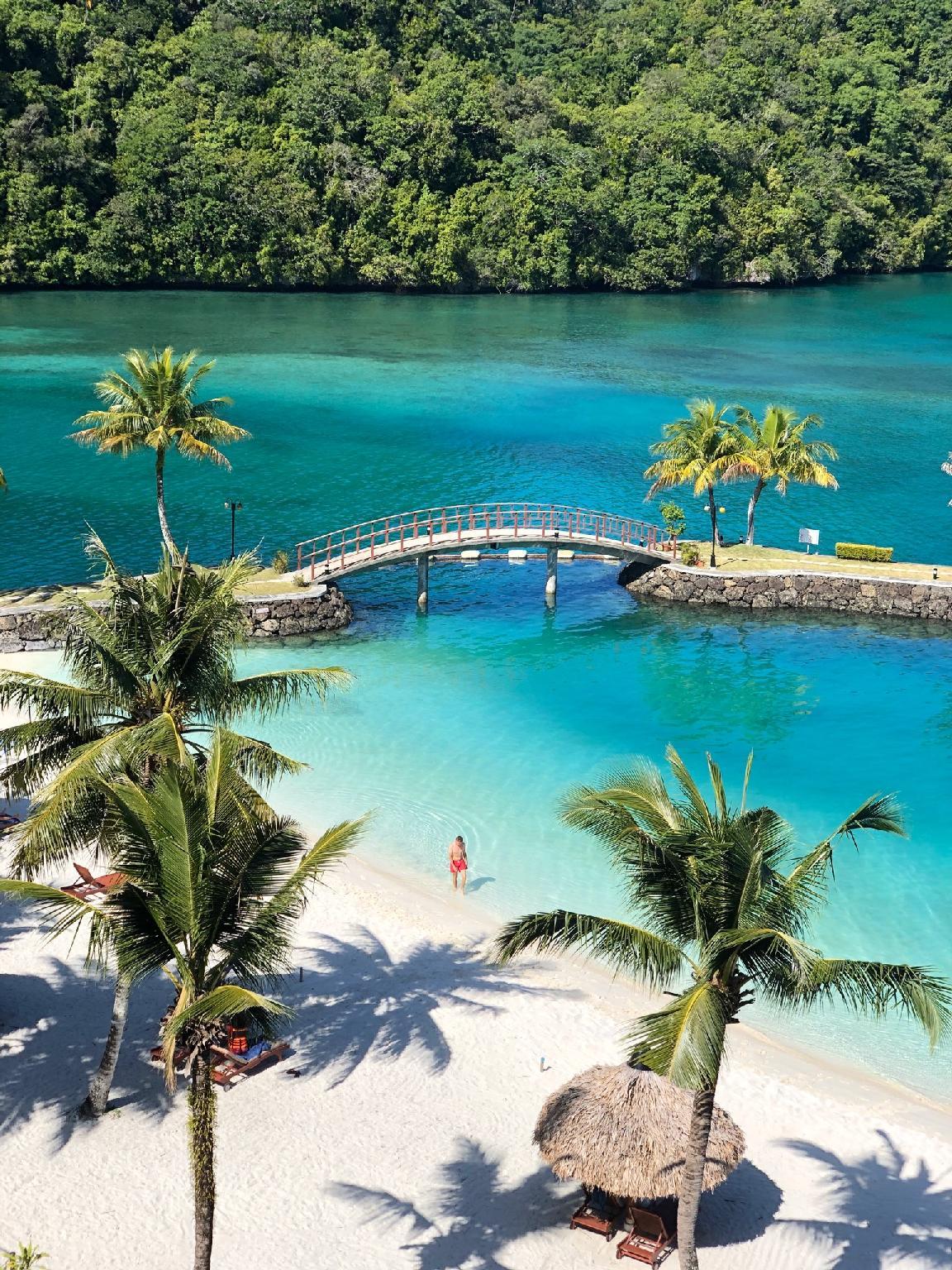 Palau Royal Resort 1096848 — 1