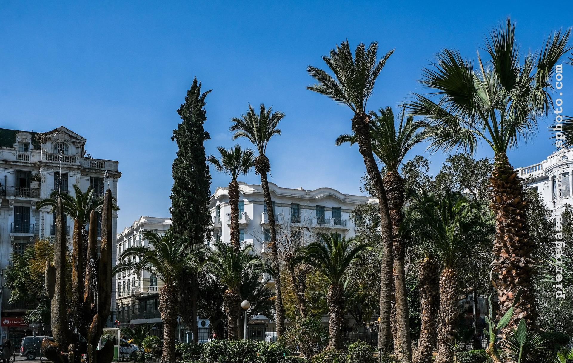 Hotel Majestic Tunis 845175 — 2