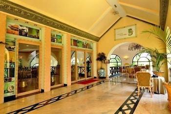 GOLDEN PALMS SPA — 1