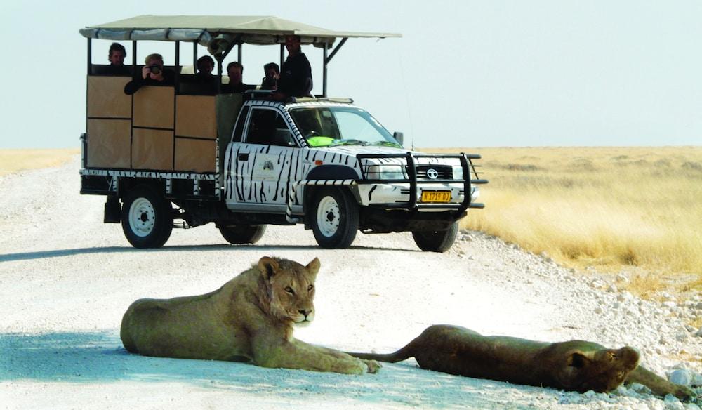 Etosha Safari Lodge 1112108