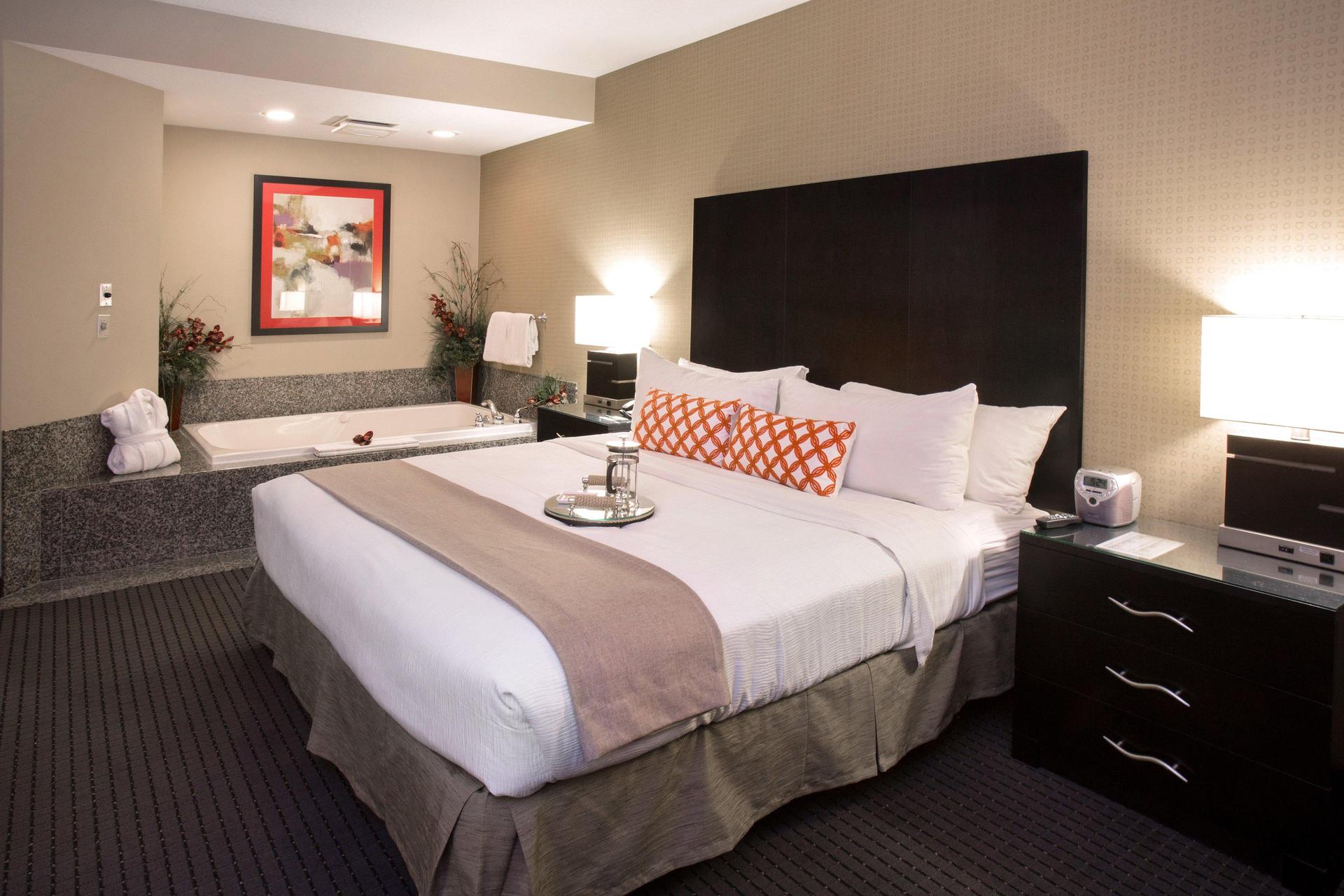 HOLIDAY INN HOTEL AND SUITES ST. PAUL NE - LAKE ELMO — 8