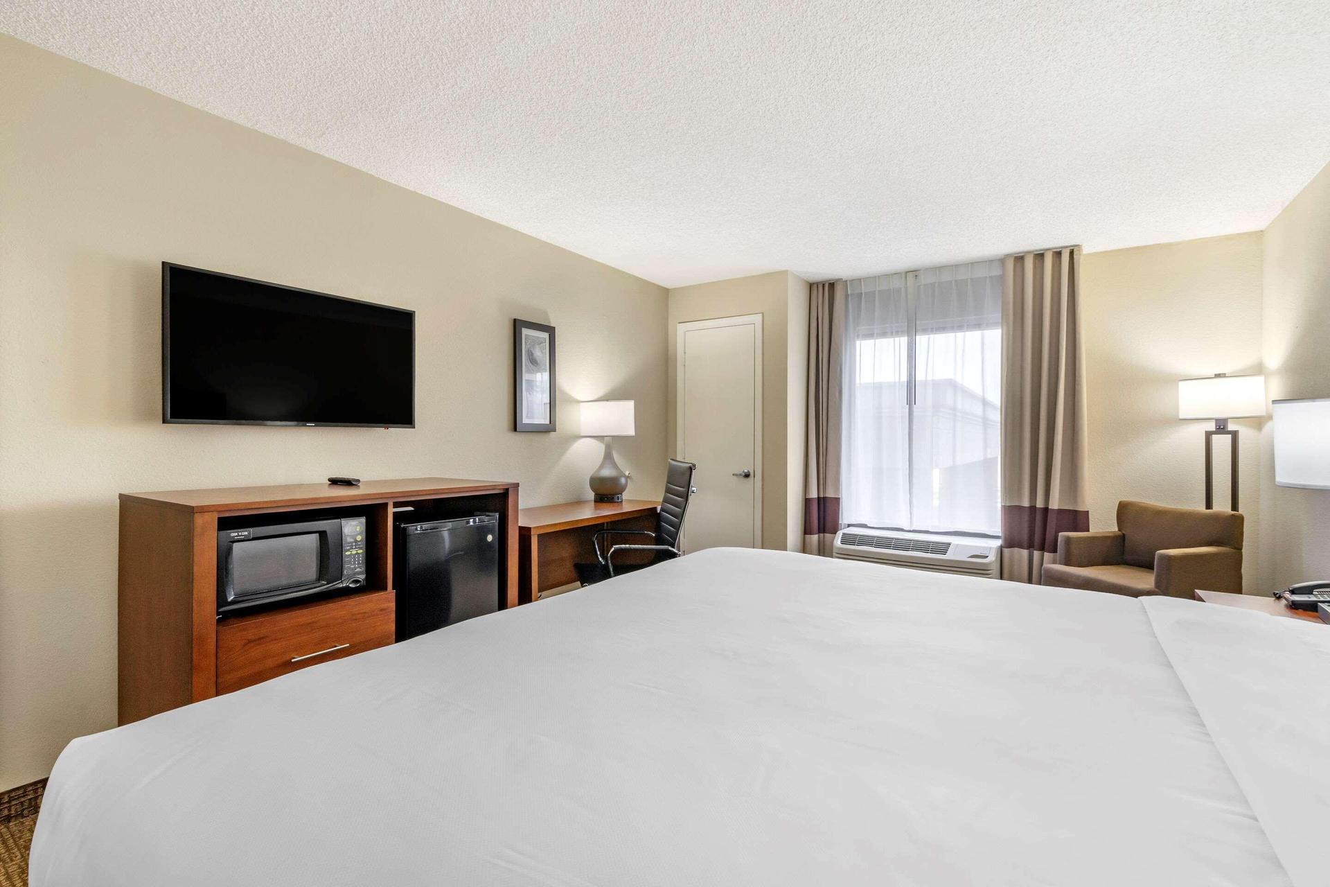 Comfort Inn & Suites St. Pete - Clearwater International Airport — 9
