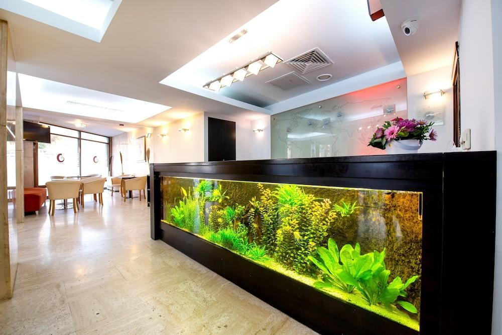 Hotel Duke Armeneasca — 7