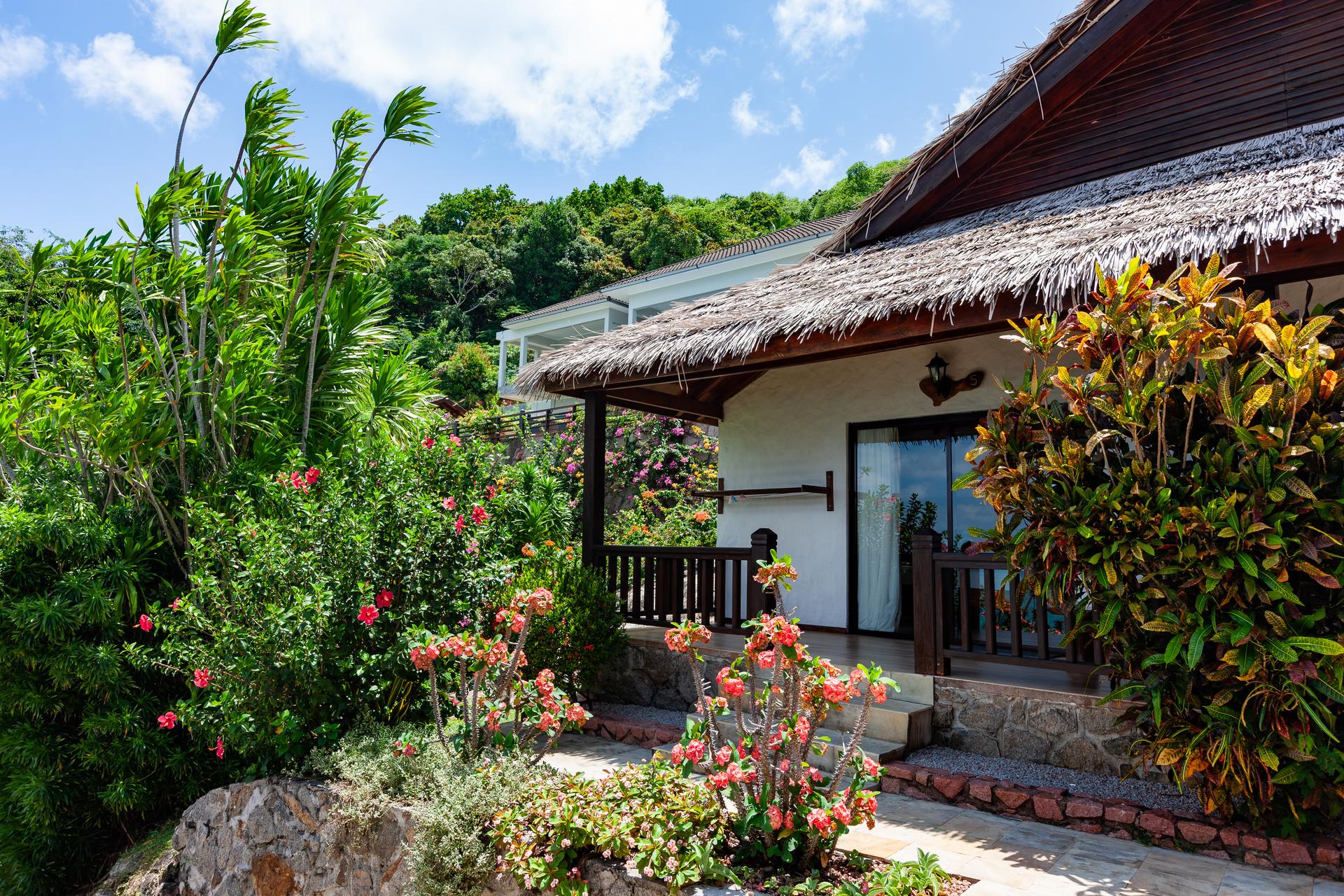 COLIBRI GUEST HOUSE(M) — 3