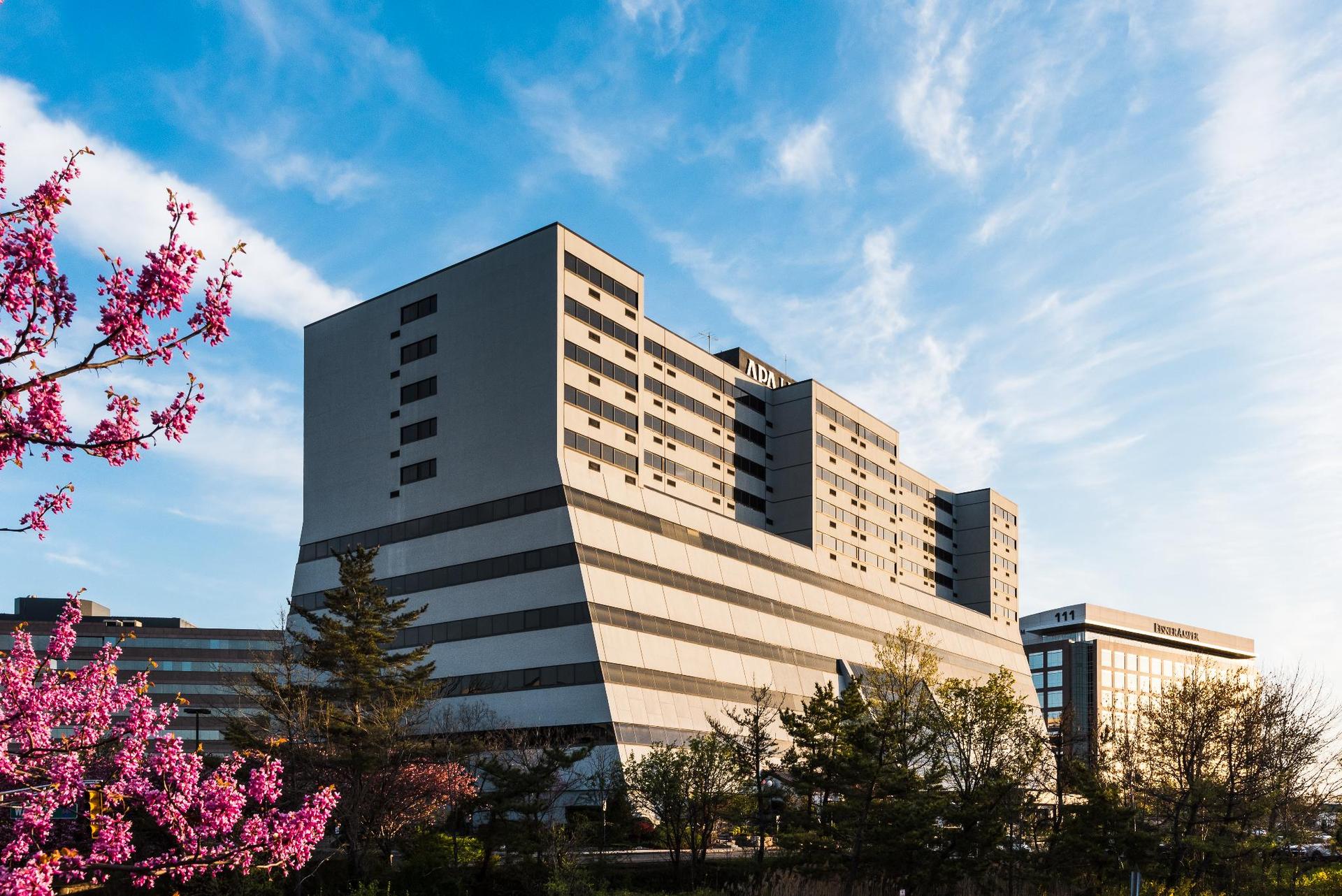 Apa Hotel Woodbridge — 4