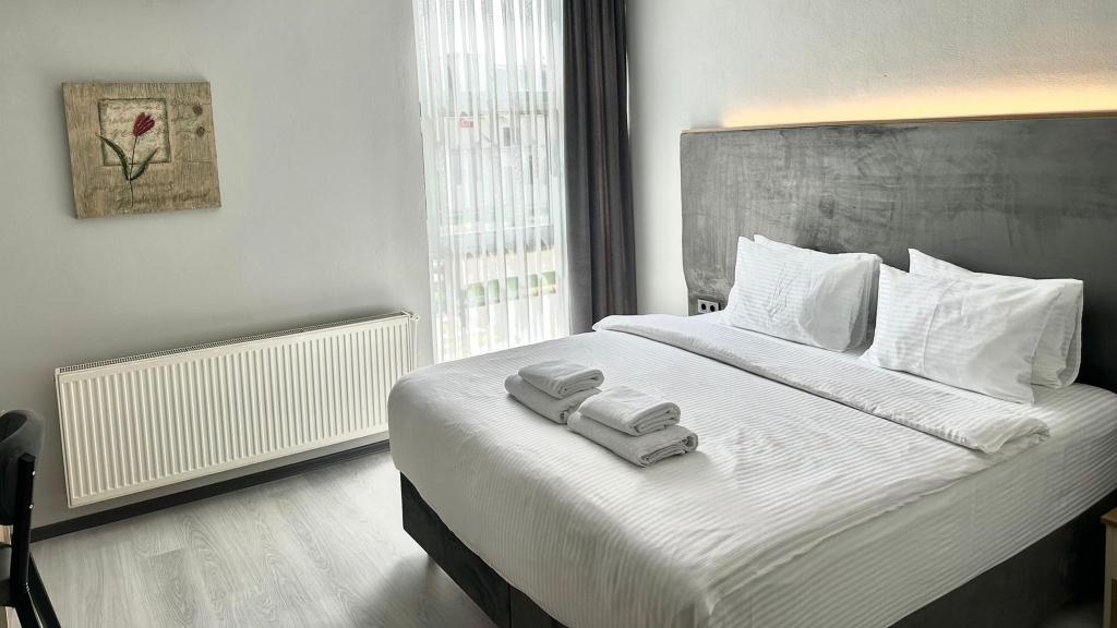 Altınova Hotel Sakarya — 5