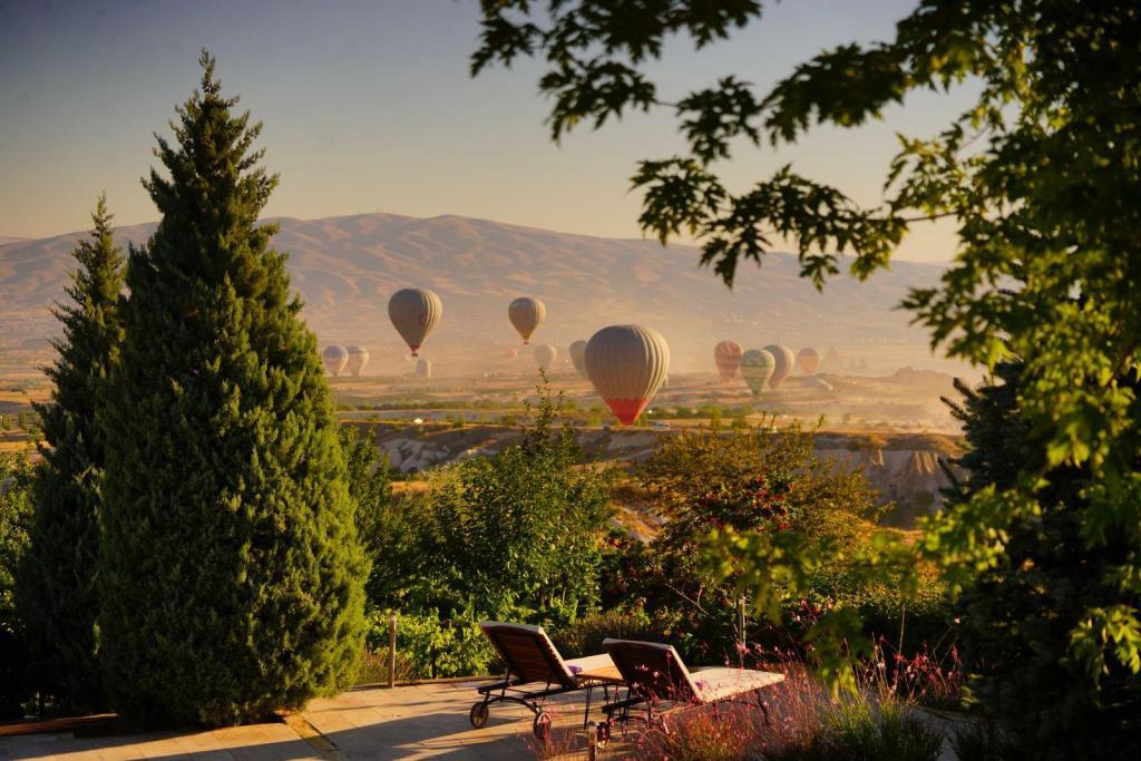 Ariana Luxury Lodge