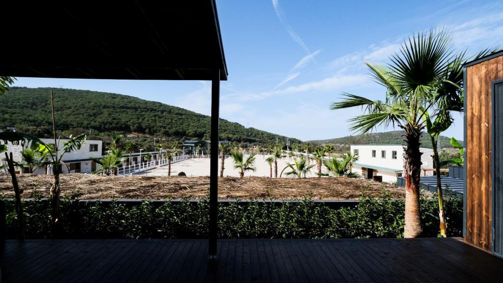 Asha Country Urla — 4